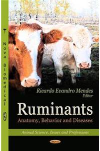 Ruminants