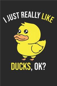 I Just Really Like Ducks, OK?