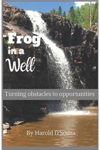 Frog in a Well