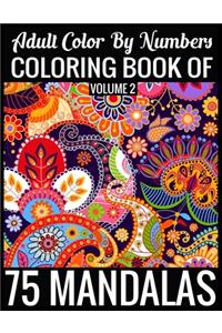 Adult Color By Numbers Coloring Book of Mandalas Volume 2