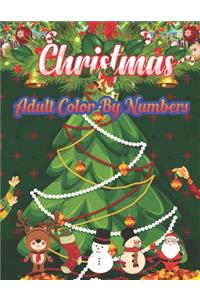 Christmas Adult Color By Numbers