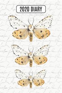 2020 Daily Diary Planner, Watercolor Moths