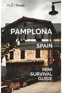 Pamplona Mini Survival Guide
