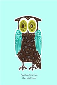 Spelling Practice Owl Workbook