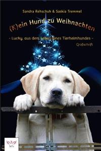 (K)ein Hund zu Weihnachten