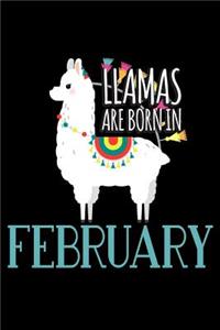 Llamas Are Born in February: Blank Lined Journal