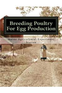 Breeding Poultry For Egg Production