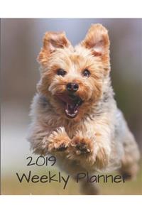 2019 Weekly Planner