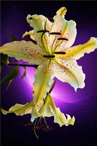 Stunning Yellow Lily on Purple Background Journal