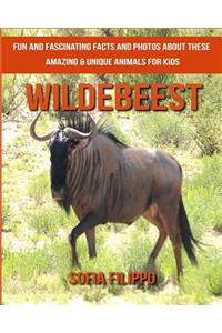 Wildebeest