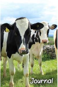 Journal