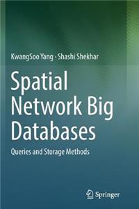 Spatial Network Big Databases