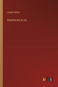 Amerika wie es ist