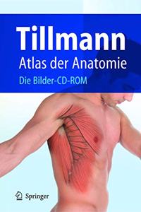 Atlas Der Anatomie