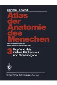 Atlas Der Anatomie Des Menschen Nach Systematischen Und Topographischen Gesichtspunkten