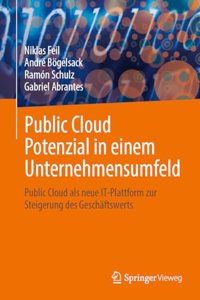 Public Cloud Potenzial in einem Unternehmensumfeld