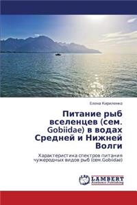 Pitanie ryb vselentsev (sem. Gobiidae) v vodakh Sredney i Nizhney Volgi