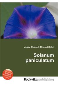 Solanum Paniculatum