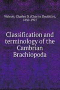 Classification and terminology of the Cambrian Brachiopoda