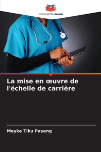 mise en oeuvre de l'échelle de carrière