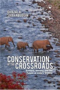 Conservation At The Crossroads: Science, Society, And The Future Of India S Wildlife