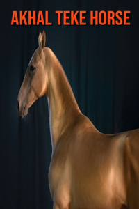 Akhal Teke Horse
