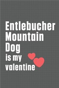 Entlebucher Mountain Dog is my valentine