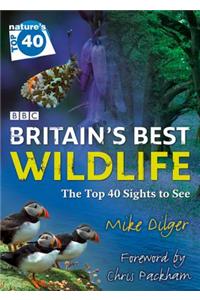 Nature’s Top 40: Britain’s Best Wildlife