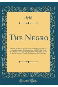 The Negro: What Is His Ethnological Status? Is He the Progeny of Ham? Is He a Descendant of Adam and Eve? Has He a Soul? or Is He a Beast in God's Nomenclature? What Is His Status as Fixed by God in Creation? What Is His Relation to the White Race?
