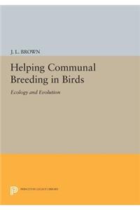 Helping Communal Breeding in Birds