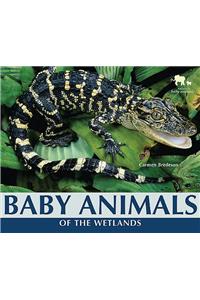 Baby Animals of the Wetlands