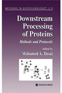 Downstream Processing of Proteins