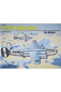 B-24 Liberator in Action