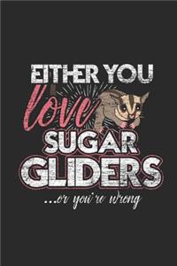 Either You Love Sugar Gliders Or You're Wrong