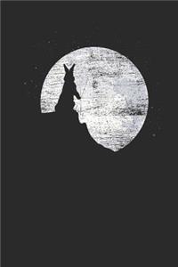 Rabbit Moon