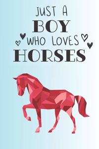 Just A Boy Who Loves Horses