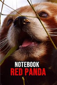 Red Panda Notebook