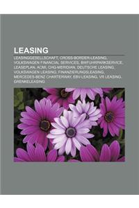 Leasing: Leasinggesellschaft, Cross-Border-Leasing, Volkswagen Financial Services, Bwfuhrparkservice, Leaseplan, Acmi, Chg-Meri