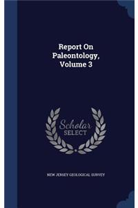 Report on Paleontology, Volume 3
