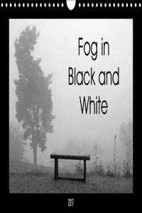 Fog in Black and White 2017