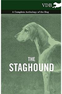 The Staghound - A Complete Anthology of the Dog