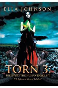 Torn 3