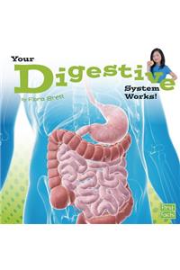 Digestive