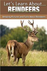 Reindeer: Amazing Pictures and Facts about Reindeer