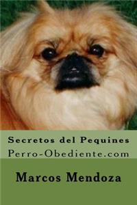 Secretos del Pequines