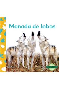 Manada de Lobos (Wolf Pack)