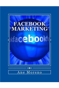 Facebook Marketing: Volume 1