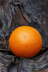 Portrait of an Orange Fruit Journal