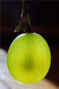 Green Gooseberry Fruit Journal