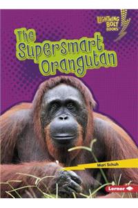 The Supersmart Orangutan